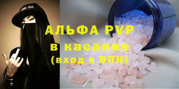 шишки Инсар