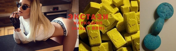 шишки Инсар