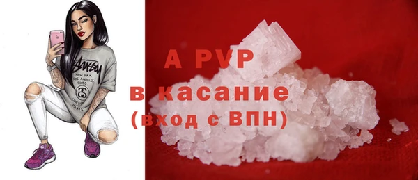 шишки Инсар