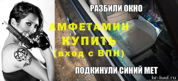 шишки Инсар
