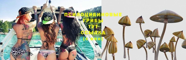 мескалин Зерноград